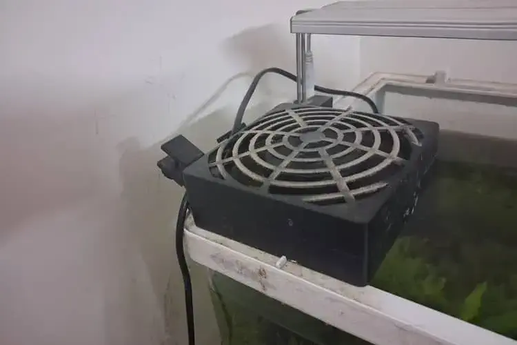 my aquarium fan