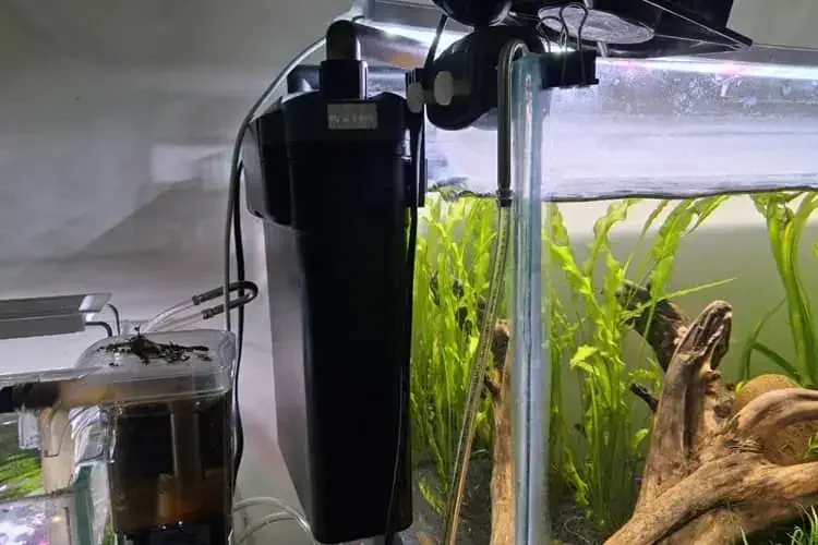 my canister style hob filter view