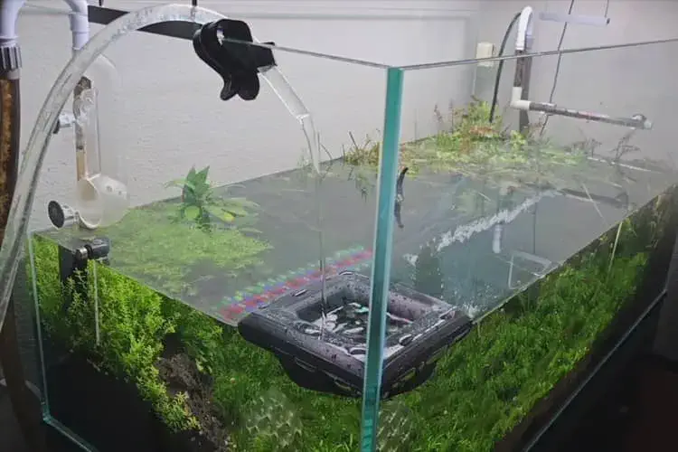 water change view