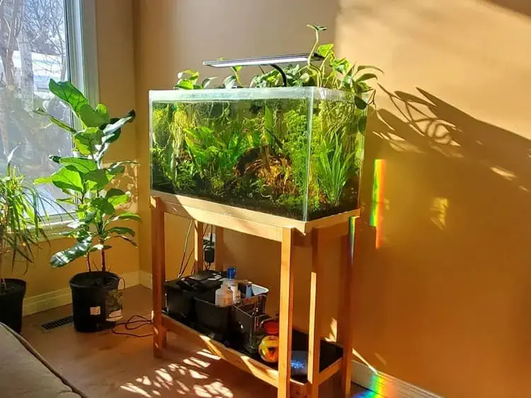 aquarium in sunlight view